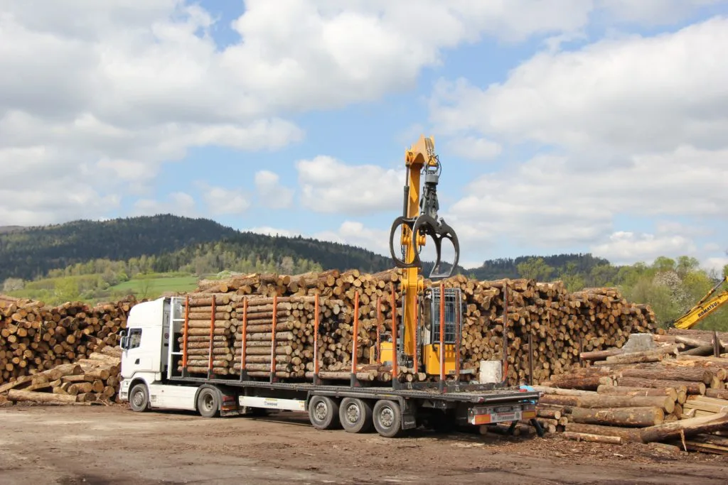 Loading timber before transport